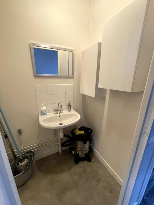 Agreable Maison De Ville Dans La Plus Belle Avenue Orléans Eksteriør bilde